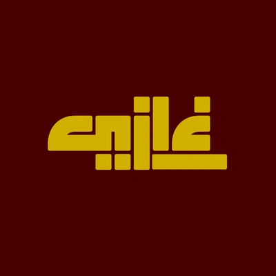 Ghazi Store